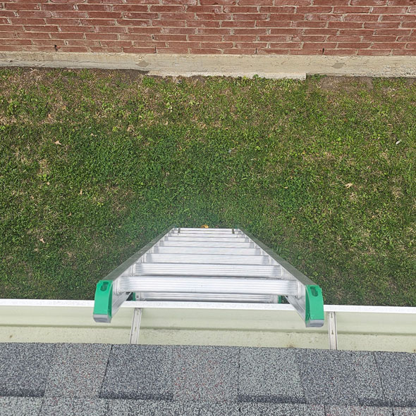 Dallas Critter Inspection on Roof