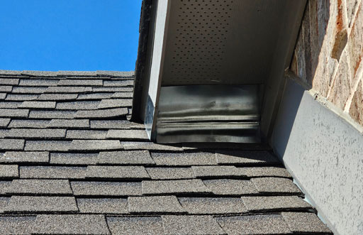 Wildlife Prevention Dallas