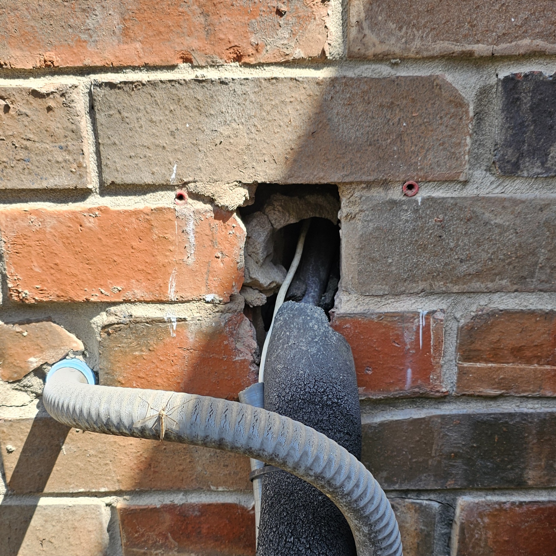 Rat Entry Point Inspection North Dallas