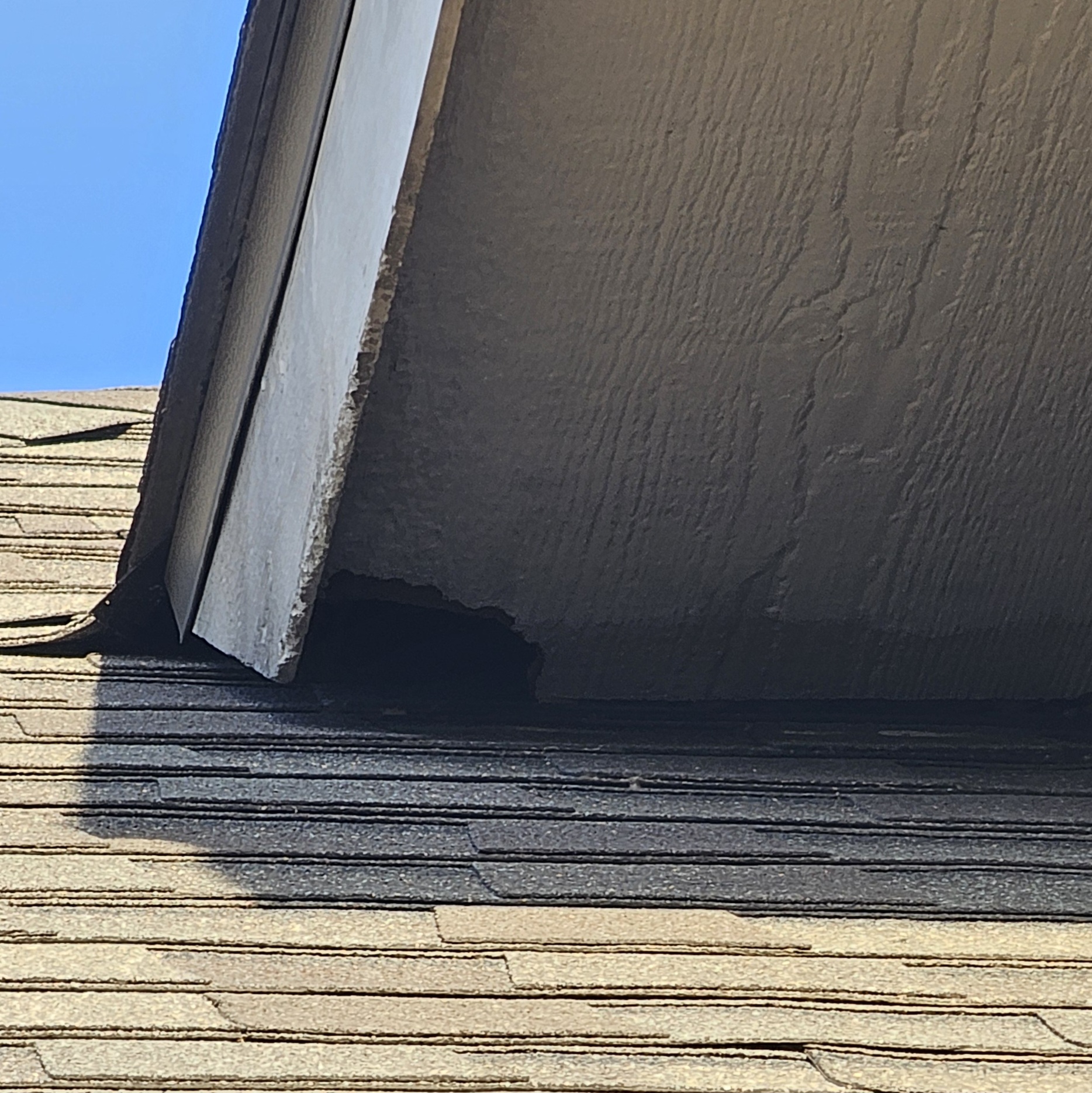 Rodent Entry Point Inspection