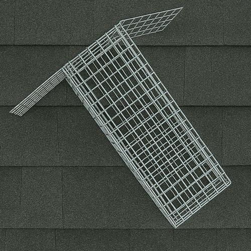 Squirrel One Way Trap